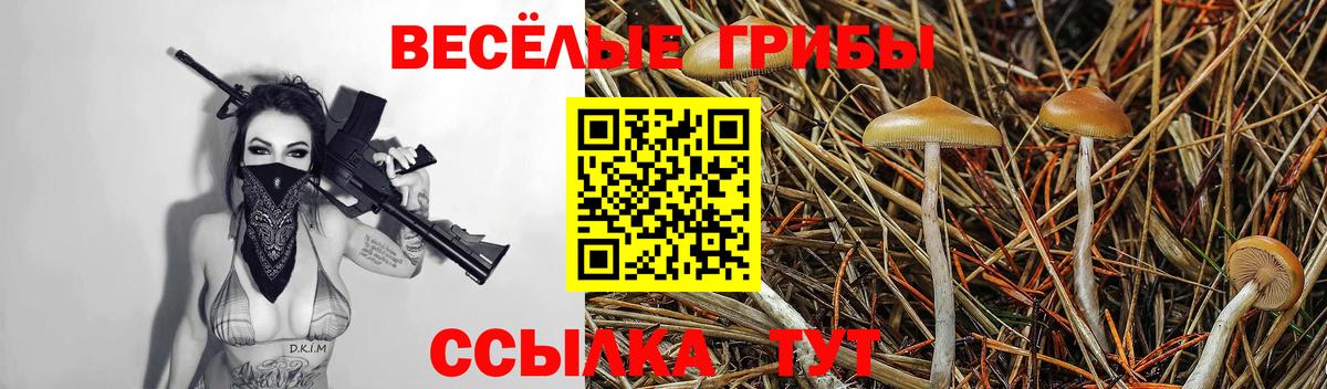 Галлюциногенные грибы GOLDEN TEACHER Новокуйбышевск