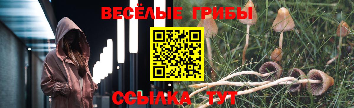 Новокуйбышевск  Галлюциногенные грибы GOLDEN TEACHER  Вход с VPN  цена наркотик  Галлюциногенные грибы мухоморы 